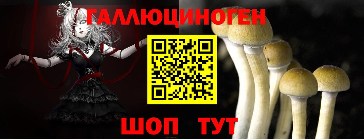 Псилоцибиновые грибы ЛСД  цены   Вход с VPN  Ногинск  Псилоцибиновые грибы Psilocybe 
